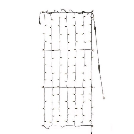 Celebrations Celebrations Platinum LED Mini Warm White 100 ct Net Christmas Lights 6 ft. TW100BWWA